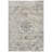 Alexander Oriental Indoor Rug-1205964924