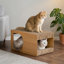Grattoir en carton pour chat, planche à griffer ondulée pour chat d'intérieur 17 po, chatons, brun