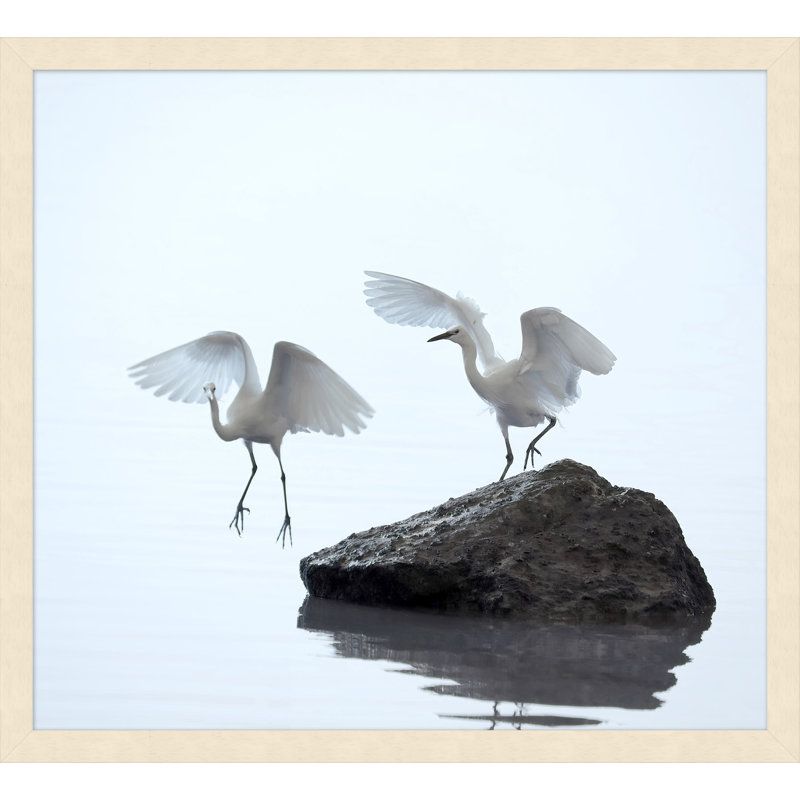 Coastal Morning 2' Framed Photographic Print on Glass