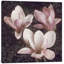 " Pink Magnolias II " by John Seba-20938940-72042014-72042019