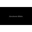 Buddah Head - Single Picture Frame Print-46668528