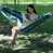 Blue Green
