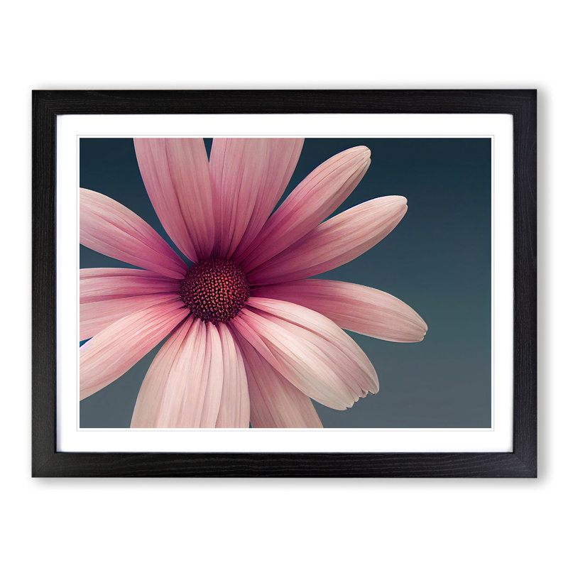 Cute Daisy Flower - Framed Print, Black, 46cm H x 64cm W x 2cm D