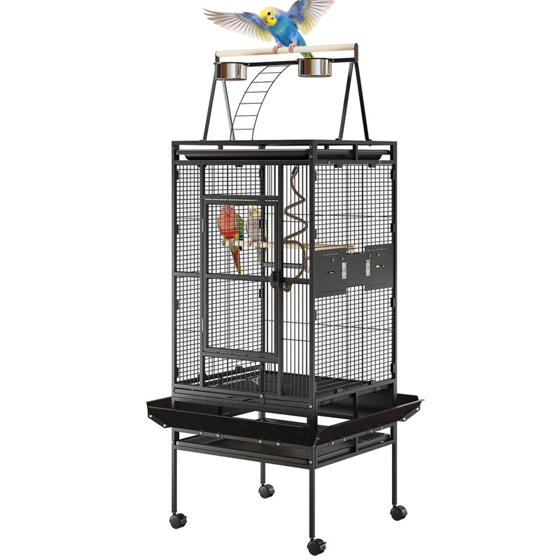 Cage à perroquet 67 po avec support roulant, cage en fer forgé Conure, cage à oiseaux en métal blanc pour petits oiseaux moyens