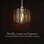 10cm H Novelty Lamp Shade-1761768535
