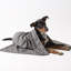 Tapis pour animaux Holdaw Rose Paw-723785046