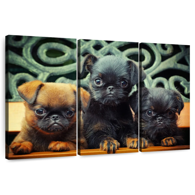 Griffon Puppies, 36" H x 57" W