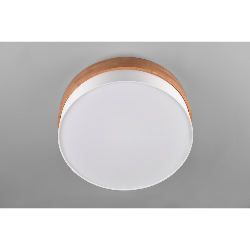 Rennan 3-Light 50cm LED Integrated Flush Mount, White