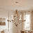 Director 12-Light Chandelier in Brass-1385694816