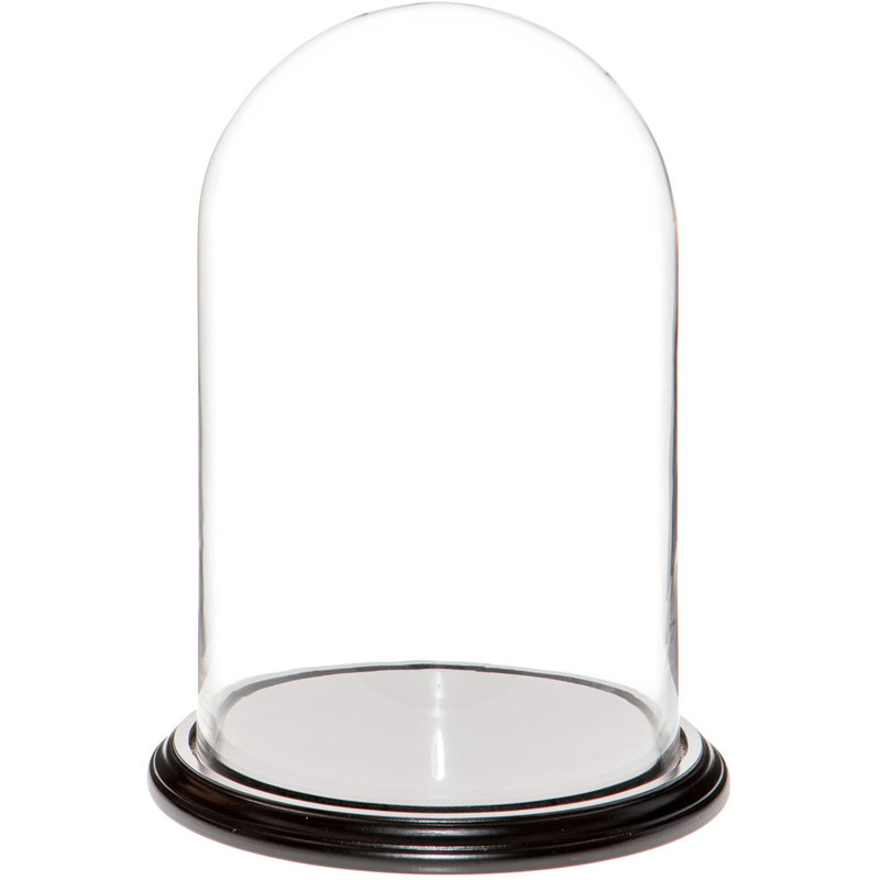 Cloche à dôme en verre 9,75 "x 15" Vucciria, Base en placage de bois noir, H 15 po x l 9,75 po x P 9,75 po
