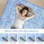 Area Rug-1184564664