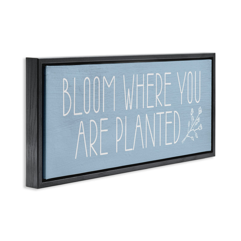 Cadre flottant Bloom Where You Are Planted, design par Lil 'Rue, H 11 po x l 25 po, Noir