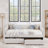 Upholstered Daybed Sofa Bed with Two Drawers-1820177490