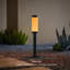 Éclairage de paysage à basse tension - lumière blanche RVBB, conception moderne, finition en aluminium noir durable, installation facile, résistant aux intempéries, piquet en métal robuste-111763982-114979258