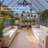 8x10 FT Walk-In Polycarbonate Greenhouse With Ventilated Roof-112387363