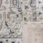 Aayran Oriental Light Grey Area Rug-1377630485