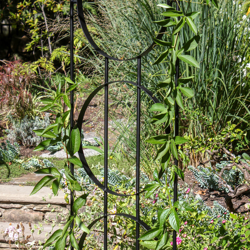 44'' W x 19'' D Metal Arbour in Black