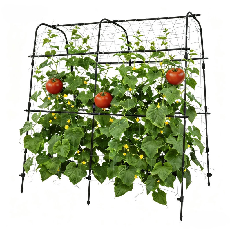 Treillis d'arche de jardin robuste pour lits surélevés - Support de plante résistant à la rouille de 5,3 x 5,3 pi - Supporte les légumes grimpants, les concombres, les melons, les raisins, les roses, les fleurs - Structure verticale extérieure