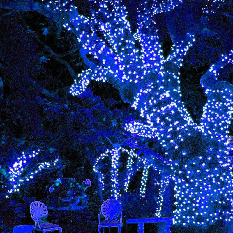 Jaada Outdoor 200 - Bulb 866'' Solar Powered LED Mini String Light, Blue