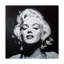 « hollywood icon », reproduction d’impression sur toile tendue-26853399