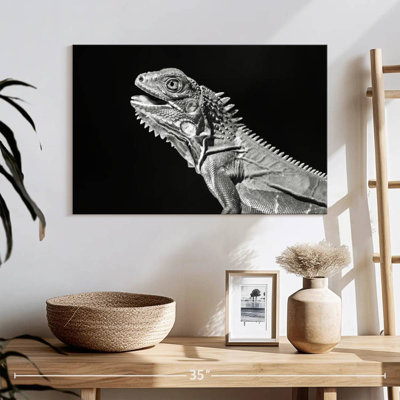 Iguane monochrome