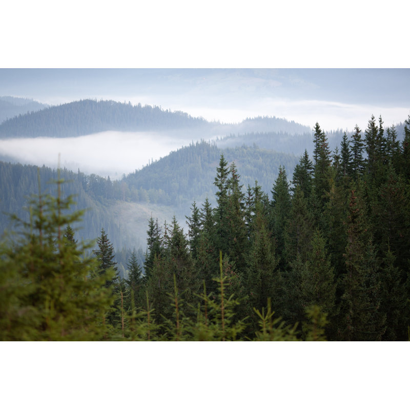 Montagne et arbres - Photographie sur toile tendue, H 8 po x l 12 po