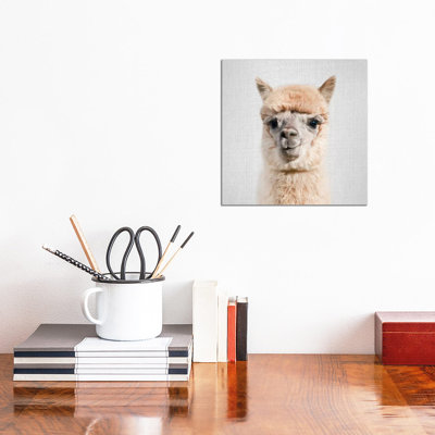 Alpaca - Lycoming Glasses - Wrapped Canvas Print