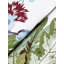 Briarwood Floral Matte Wallpaper Double Roll-1787003445