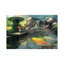 Giant Koi by Steve Goad - Wrapped Canvas Print-1412837954