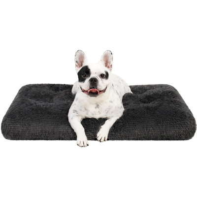 Dog Crate Bed Washable Dog Beds For Small Dogs Deluxe Plush Fluffy Comfy Thick Kennel Pad Anti-Slip & Anti-Scratch Pet Sleeping Mat, 23 X 18 Inch, Dar -  Tucker Murphy Petâ¢, 09833B8974A1447687BB962627A32F7F