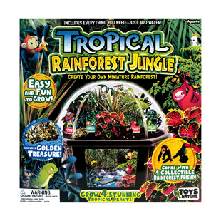 Biarium Terrarium - jungle tropicale