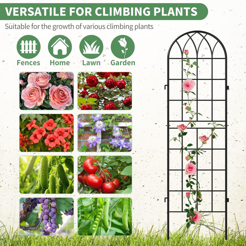 Treillis de jardin en métal 4Pack pour plantes grimpantes d'extérieur, support pour plante en métal 59 x 16 po
