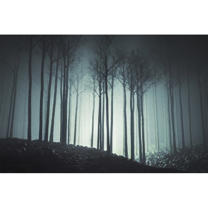 Forest At Night by Gremlin - Wrapped Canvas Print, 30cm H x 46cm W x 3.8cm D
