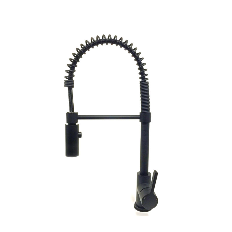 Dowell Pull Down Kitchen Faucet, Black