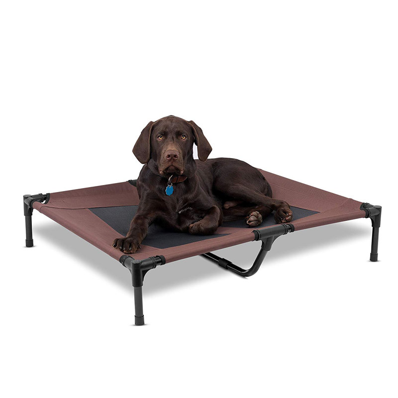 Medium Brown Elevated Orthopedic Dog Cot with Steel Frame