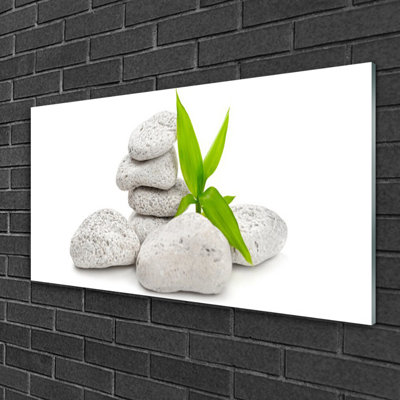 Nature Stones 1 Piece Wall Art on Glass