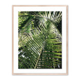 Palm I Print by Vitaliy Paykov