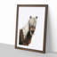 Icelandic Horse - Picture Frame Painting Print-55579369-55579368