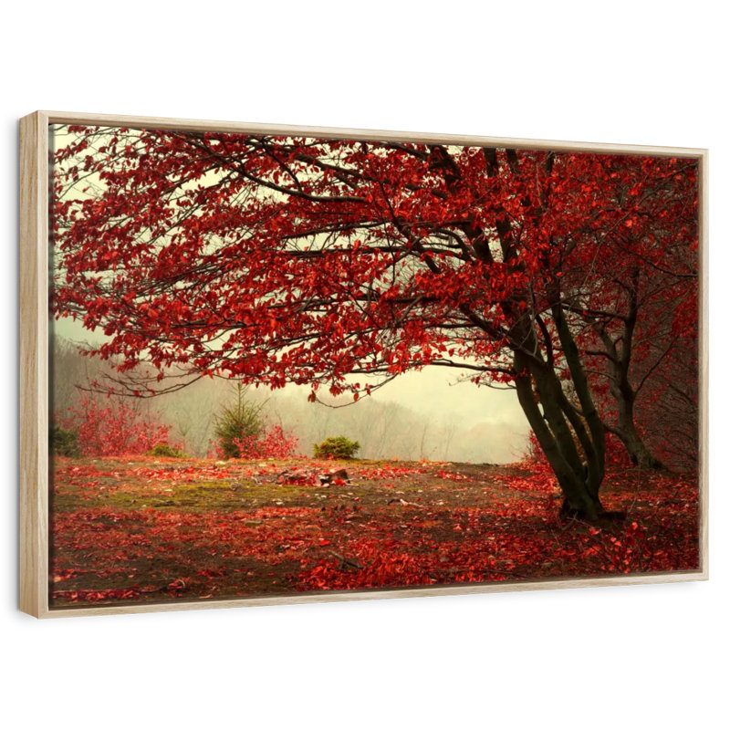 Arbre rouge en automne, Cadre flottant en bois naturel, 46 po x 31 po