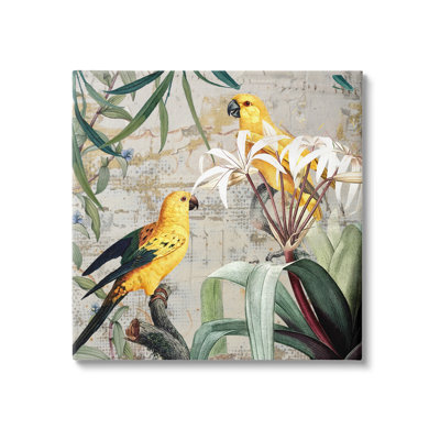 Collage d'oiseaux tropicaux jaunes
