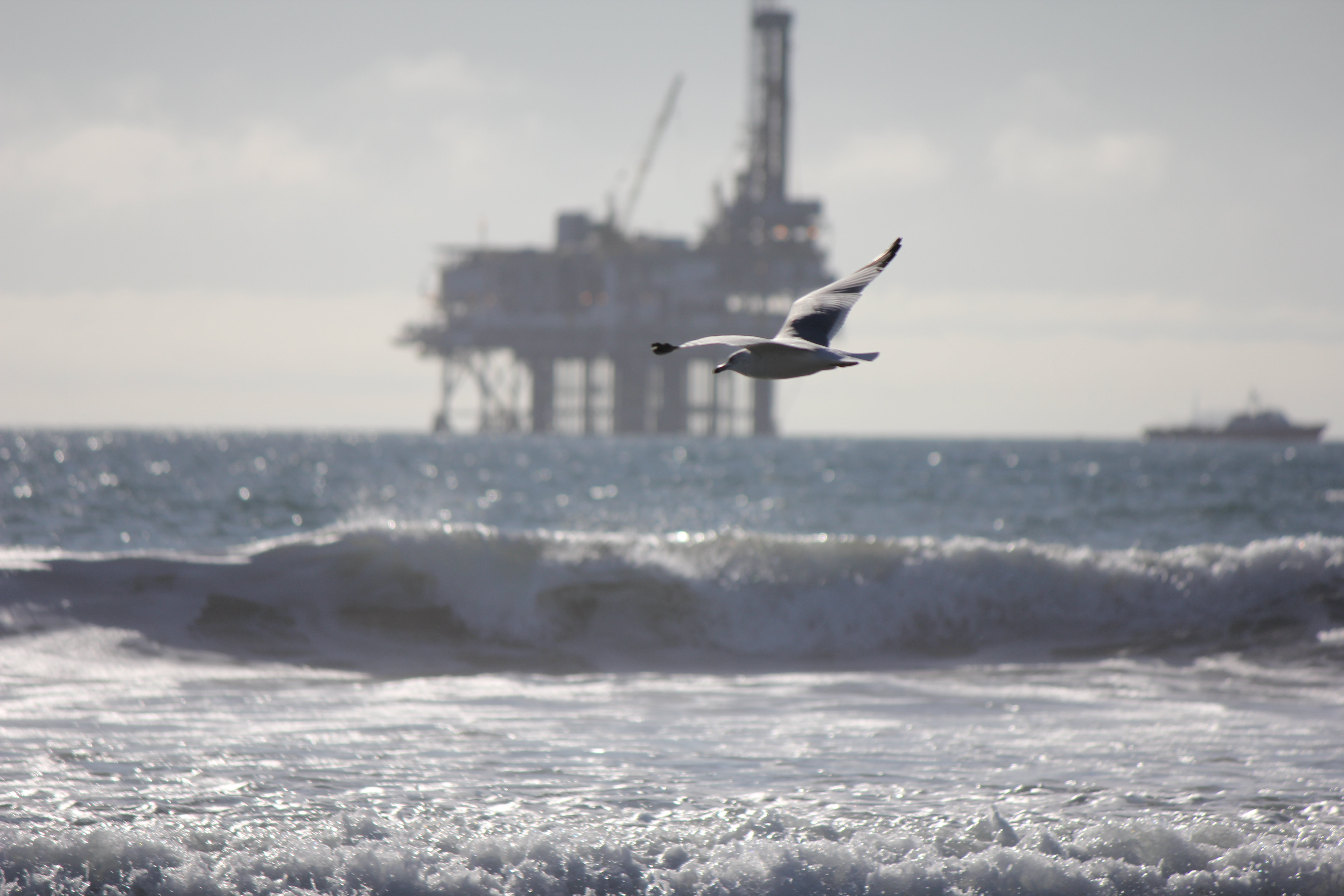 House of Hampton Seagull And Oil Rig | Wayfair.co.uk