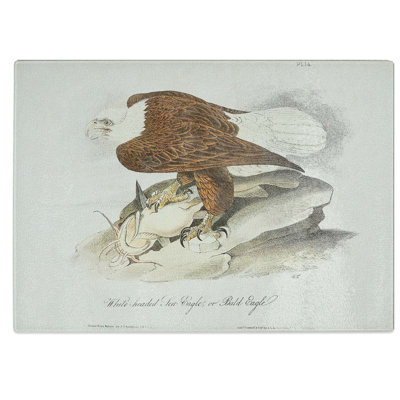 Tempered Glass Bald Eagle Chopping Board