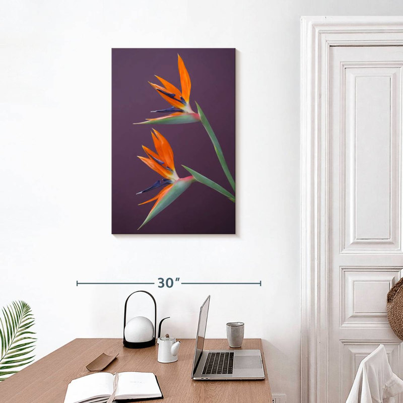 Harnek oiseaux vivaces du paradis, H 30 po x l 20 po