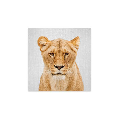 Lionne, impression sur verre acrylique