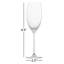 Prizma Champagne 9.7 oz. Lead Free Crystal Flute