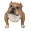 Statue de chien qui marche-44488689