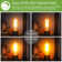 60 Watt Equivalent ST58 E26/Medium (Standard) Dimmable 2700K LED Bulb