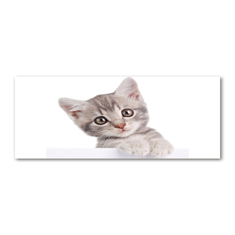 Gray Cat - No Frame Print on Canvas
