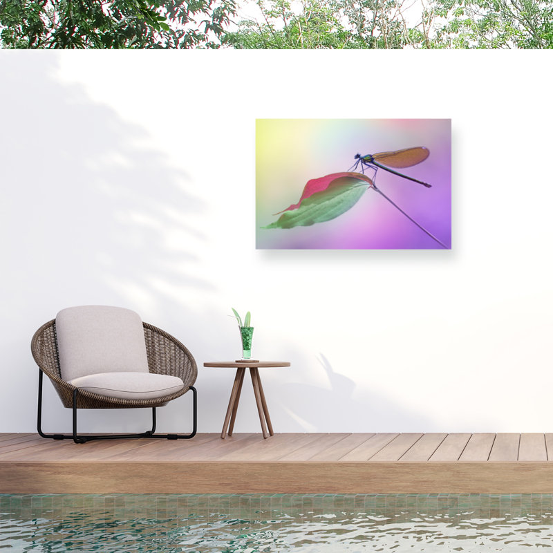 Fabrizio Daminelli  Calopteryx Splendens Outdoor  Canvas, H 12 po x l 19 po