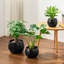TYHPOT Ceramic Pot Planter-659573